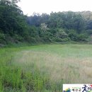 두란농장 이미지