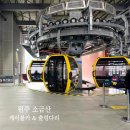 여주하늘정원 | 8살 아이랑 원주 소금산 출렁다리 케이블카 요금 주차