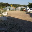 블루베리펜션 이미지