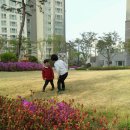 은아네집 이미지