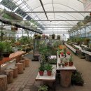 칠갑산산꽃마을 이미지