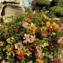 광의농장 이미지