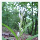 멍굴멍굴 이미지