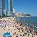 청춘아지트