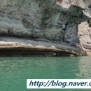 선양행정사사무소 이미지