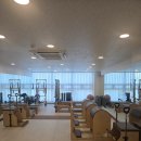 정형외과 도수치료 전전하다가 내 몸의 속근육 자생력을 기르기로 결심한 이유