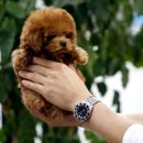 렛츠개릿 이미지