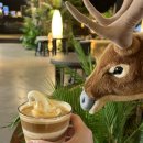 마곡목장 | 마곡 카페 추천 휴양지 대형카페 어나더사이드 후기 주차정보