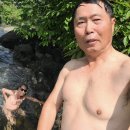 새밭 이미지