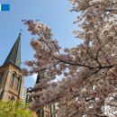 계산성당 앞 이미지