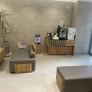 와이레이디여성의원 이미지