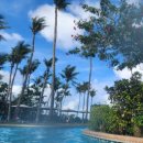 셀레그덮밥 | [괌] 20개월 아기와 함께한 괌 3박 4일 여행기 - 1일차 (대한항공, 두짓비치, ABC Store, Beachin' Shrimp)