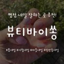바이쏭 이미지