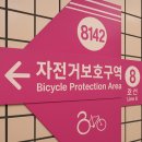 자전거보호구역8142