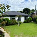 하도탐나 이미지