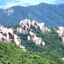 양암농장 네이버블로그