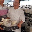 이용복농장 이미지