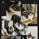 지에스25 사당시티점 이미지