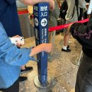 신성 | 대만 딘타이펑 메뉴 예약 가격 본점 신성점 후기 트러플 딤섬 추천