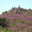 겸백면사무소 이미지