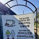 이-연커피