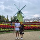 노래야노래야 해남점 | 하동 - 해남 여행 코스 추천 part. 2 (도심다원 - 화개장터 - 혜성식당 - 순천만국가정원)