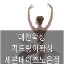 세븐노은 이미지