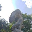 백호농장 이미지