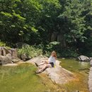 장령산 가든 이미지