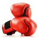 광명위너복싱 이미지