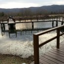 족발보쌈전문 이미지