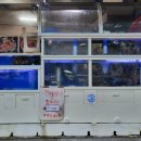 내서읍393 이미지