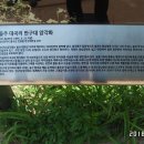대곡리 암각화 이미지