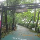 서리풀길 9 이미지