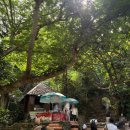 핑크망고 | 베트남 다낭 4박 6일 6인 가족 여행 3일차 | 오행산 코스 &amp; 반마이, 핑크망고 솔직 후기