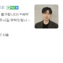 에이바헤어 이미지