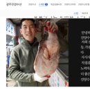 진양광고