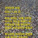 2023.11.5.日...조찬(땅). 오찬(과천갈비).택시의왕. 배드민턴. 2차오찬(의왕.시골밥상) 이미지