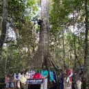 우노여행사㈜ | 남미여행후기 - 페루의 모든 것! 아마존투어 · 리마 선셋 · 와카치나 사막 버키카 · 눈부신 공중도시...