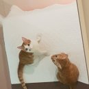 아리아무인호텔 이미지