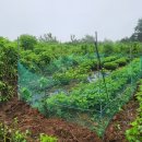 동막골 농장 이미지