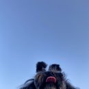 하오쿠 | 송정바닷가 피크닉! and 송정하오쿠 재방문 솔직후기