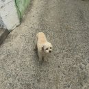 어부민박 | 거제 이수도 1박3식 거제도 섬여행 어부에 만찬 내돈내산 힐링 후기