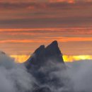 자연속으로 이미지