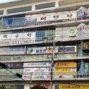 제니스 잉글리시