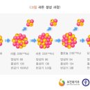 The Boxing Lab(더복싱랩) 이미지