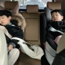 기장 안데르센 동화마을 주말 빈자리알림 당일예약 성공 후기