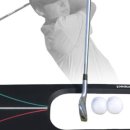 골프 팩트 이미지