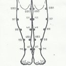 복부, 어깨, 다리, 힙 다이어트 티침혈자리와 그림 이미지