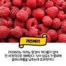 구름베이프 이미지